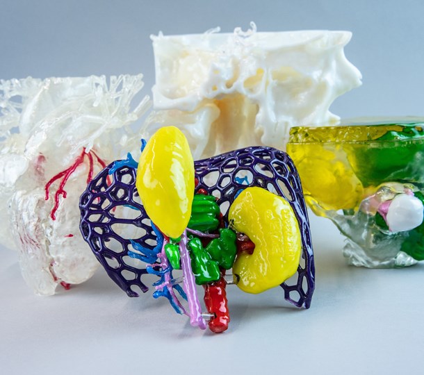 Digital anatomy 3d printer