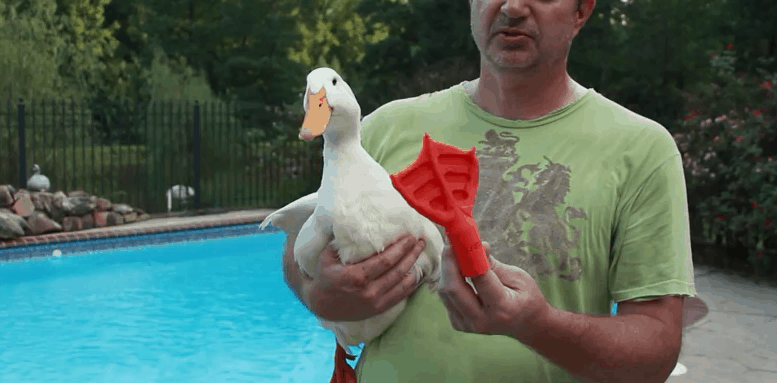 Top 5 3D Printed Animal Prosthetics